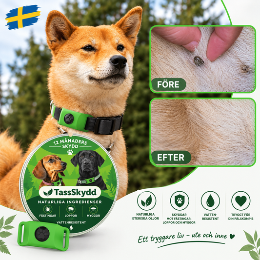 Fästingshänge - 12 månaders helt naturligt fästing- och loppisskydd för hundar